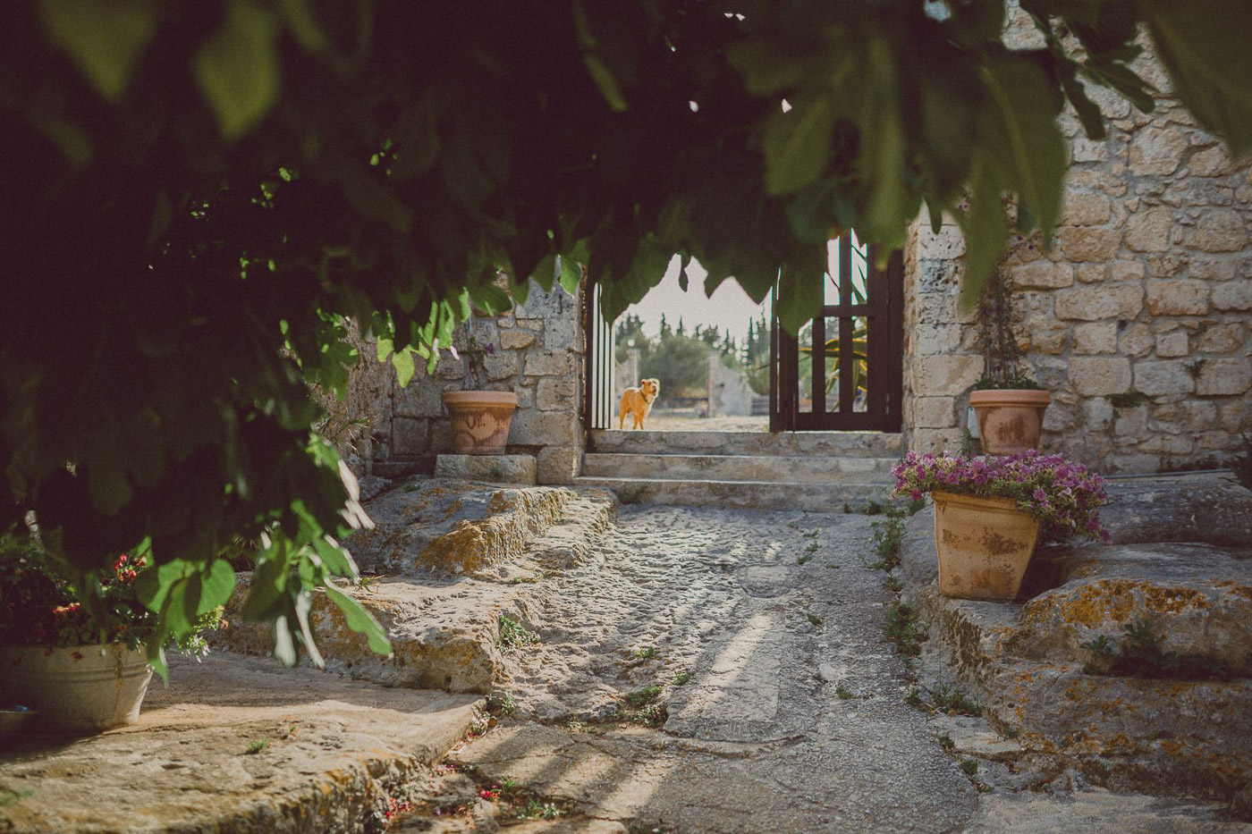 Wedding Sicily Noto Antica